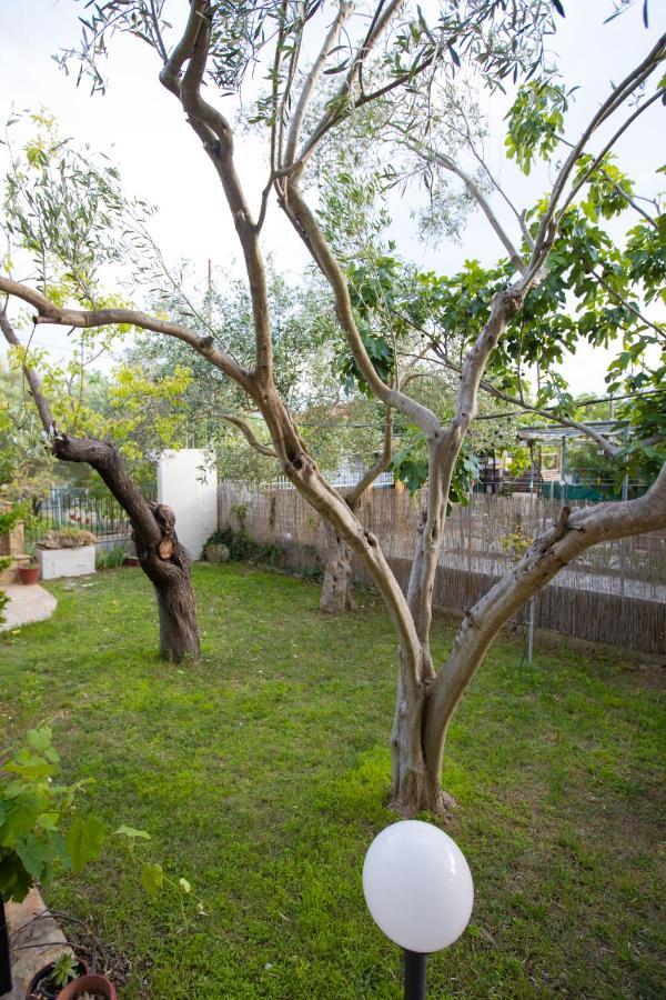 Vila Halkidiki Nea Kallikrateia Ngoại thất bức ảnh